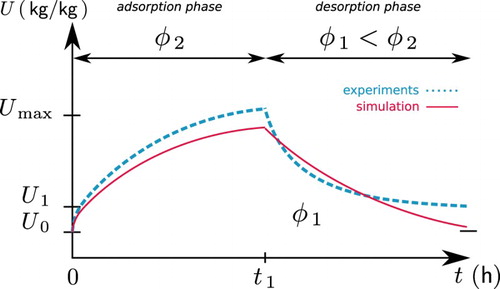 Figure 1. Illustration of the discrepancies observed when comparing experimental data to results from numerical models of moisture transfer in porous material.