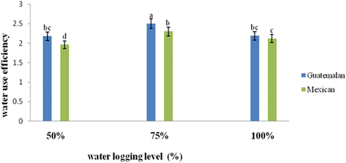 Figure 2. Interaction of avocado rootstock race and moisture stress level on water use efficiency of seedling rootstock.