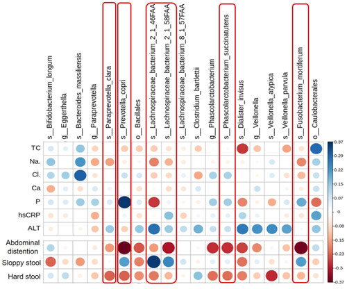 Figure 6. Correlation of TXD-modulated microbial abundance with clinical characteristics and constipation in PD patients. Red frames mark TXD-enriched species with higher correlation with stool conditions. ALT: alanine aminotransferase; Ca: calcium; Cl: chloride; hsCRP: hypersensitive c reactive protein; Na: sodium; P: phosphate; PD: peritoneal dialysis; TC: total cholesterol; TXD: Tiaopi Xiezhuo decoction.