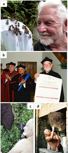 Figure 1. (a) Prof. Woyke with Apis laboriosa workers during his last scientific expedition to Bhutan, (b) Prof. Woyke with an honorary doctorate from University of Warmia and Mazury in Olsztyn, (c) In the Philippines, while observing a colony of Apis dorsata breviligula, and (d) In Bangalore (India) while observing a colony of Apis dorsata.