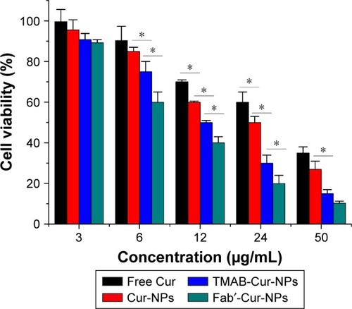 Figure 6 In vitro cytotoxicity of curcumin solution, Cur-NPs, Fab′-Cur-NPs, and TMAB-Cur-NPs on BT-474 (HER2+) cells.Notes: Significant differences in curcumin solution (free Cur), Cur-NPs, Fab′-Cur-NPs, and TMAB-Cur-NPs are marked with * for P<0.05. Values represent mean ± SD (n=5).Abbreviations: Cur, curcumin; Cur-NPs, curcumin nanoparticles; Fab′-Cur-NPs, fragment Fab′-modified curcumin nanoparticles; TMAB-Cur-NPs, trastuzumab-modified curcumin nanoparticles; HER2, human epidermal growth factor receptor 2.