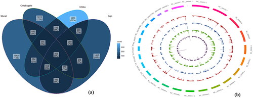 Figure 1. (a) Venn diagram depicting common and unique InDels in all four breeds of buffalo. (b) Exome-wide probability of InDels detection in four breeds of buffalo. The content of the buffalo reference genome sequence was represented by the outermost circle. Proceeding from outer to inner of the circle showed the exome-wide spreading of InDels in Chhattisgarhi, Gojri, Murrah, and Chilika, respectively.
