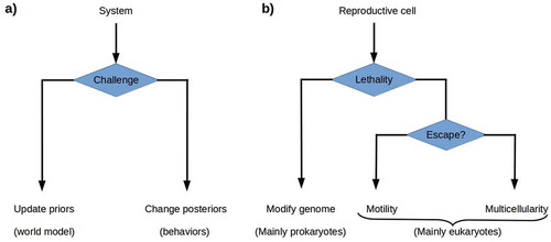 Figure 3. a) The theory of active inference postulates that systems challenged by high environmental free energy respond either by updating their prior probability distributions or world models, or by altering their posterior probability distributions by acting on the world so as to change its effects on them. b) Reproductive cells challenged by environmental lethality can be expected either to update their prior probability distributions by altering their genomes, or to execute some behavior that changes their environment’s lethality. Genome modification by rapid evolution or lateral gene transfer is primarily a prokaryotic strategy. Motility is a successful, primarily eukaryotic strategy when environmental lethality varies over short ranges. Building a multicellular structure, a body, that protects reproductive cells from the environment provides a solution when escape is not possible.