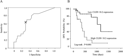 Figure 2 (A) ROC curve analysis identifying the appropriate cut-off value of CLDN 18.2 score with 2.8 (AUC=0.698; 95% CI=0.553–0.843). The X shown in the figure represents the position in the curve when the cut-off value is 2.8. (B) Kaplan-Meier survival curve showing a statistically shorter median DFS in radical resected GC patients with high CLDN 18.2 expression than with those with low CLDN 18.2 expression.