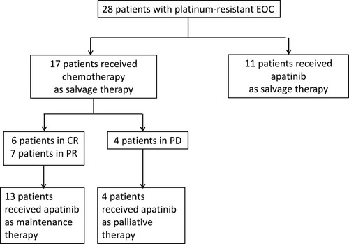 Figure 1 Patient disposition.