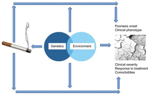 Figure 1 Schematic representation of the relationship between smoking and psoriasis.