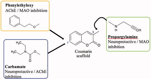 Figure 2. Design strategy of the new coumarin derivatives in this study.