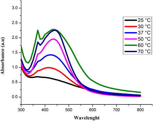 Figure 5. UV–visible spectra of Sq-AgNPs synthesized at different temperatures.