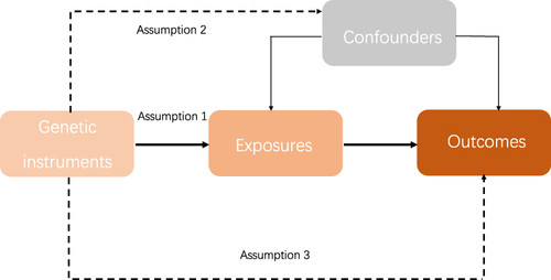 Figure 2 Study design overview.