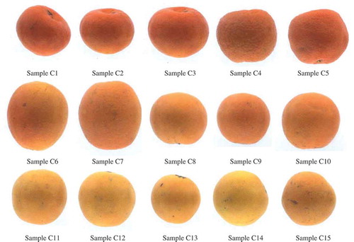 FIGURE 2 Fruit samples for color distance analysis.