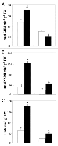 Figure 2 Glutamine synthetase (A), glutamate dehydrogenase (B) and protease (C) activities in roots and leaves of aerated (□) and hypoxically treated (■) tomato plants for three weeks. Values are the mean of six replicates ± S.D. *The significance of differences between the control and the treatment mean values was determined by the Student's t-test at the significance level of p < 0.05.