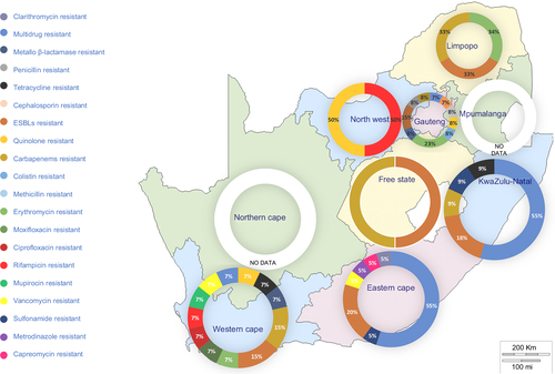 Figure 2 Distribution of genotypic AMR studies in SA: the initial South African map was created using an open source GIS software (QGIS 2.18 – http://www.qgis.org). Subsequent chart was added using PowerPoint® 2016 (Microsoft Corporation, Redmond, WA USA).