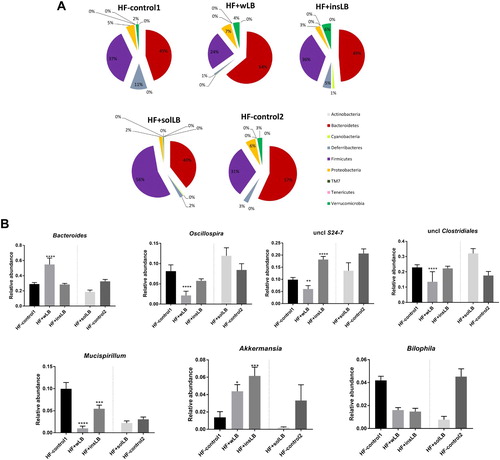 Figure 4 Composition of the gut microbiota at (A) phylum and (B) genus levels in the caecum of mice fed a HF diet with cellulose for 8 weeks (HF-control1, n=7) or for 2 weeks (HF-control2), or with whole LB (wLB, n=7) or insoluble fraction of LB (insLB, n=7) for 8 weeks, or with soluble fraction of LB (solLB, n=8) for 2 weeks. Data in (A) represent mean values. Data in (B) represent mean±SEM. Mice fed HF diets containing wLB or insLB were compared to HF-control1 using one-way ANOVA and Dunnett's multiple comparisons test. Mice fed HF diet with solLB were compared to HF-control2 using a Student’s t-test. *P<0.05, **P<0.01, ***P<0.001, ****P<0.0001.