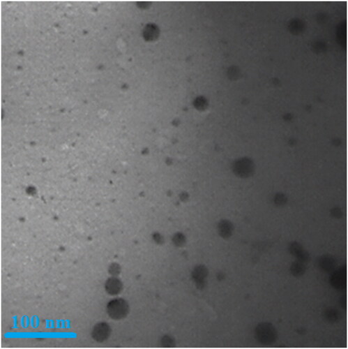 Figure 4. The TEM image of AgNPs.