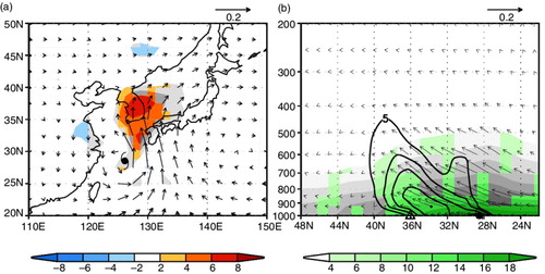 Fig. 8 Composite fields of (a) moisture flux (vector, units: m s−1) and its convergence (shading, units: s−1) averaged between 900 and 500 hPa at the analysis time, (b) meridional–vertical cross-section of specific humidity (shading, units: g kg−1), moisture flux (vector) by meridional wind components (units: m s−1) and negative pressure velocity (units: 30×Pas−1), and meridional moisture flux convergence (contour, units: s−1) along 127.5°E. Colour and green shadings denote the 90% significant region of the shading by Student's t-test. The TC symbol indicates the composite TC location and the triangle in (b) indicates the mean latitude (36.04°N) of surface stations in South Korea (i.e. the AIP region).