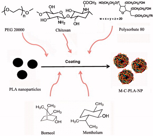 Figure 1. Scheme of preparing M-C-PLA-NPs coated with various kinds of materials.