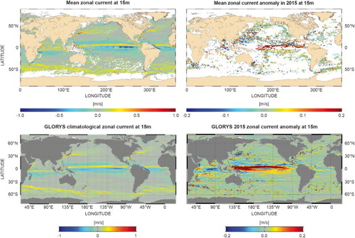 Figure 18. 1993–2014 average near surface (15 m) zonal current (a) and zonal current anomaly in 2015 (relative to the 1993–2014 mean) (b) computed from in situ observations (see text for more details on data use). (c) and (d) identical to (a) and (b) but computed from GLORYS (see text for more details). Spurious strong currents are diagnosed by the reanalysis off New Guinea, which is a known sea surface height bias of the Mercator Ocean monitoring system (Lellouche et al. Citation2013). Positive values indicate eastward, negative values westward currents.