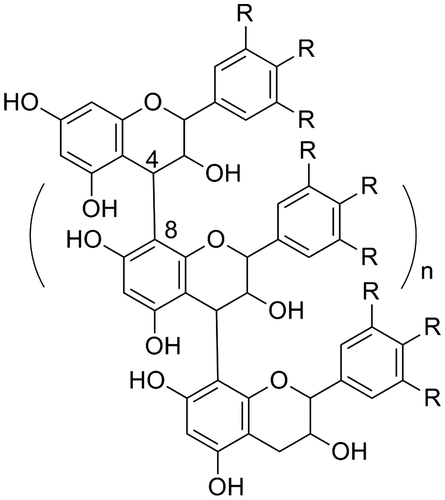 Fig. 2. The basic structures of proanthocyanidins (R=H or OH).