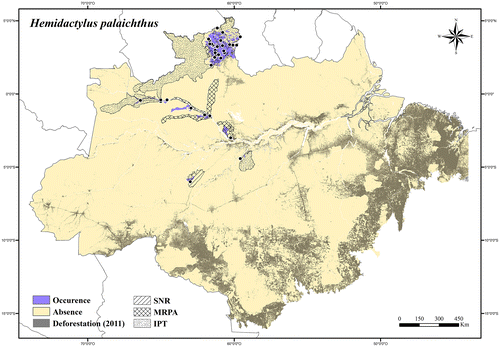 Figure 18. Occurrence area and records of Hemidactylus palaichthus in the Brazilian Amazonia, showing the overlap with protected and deforested areas.