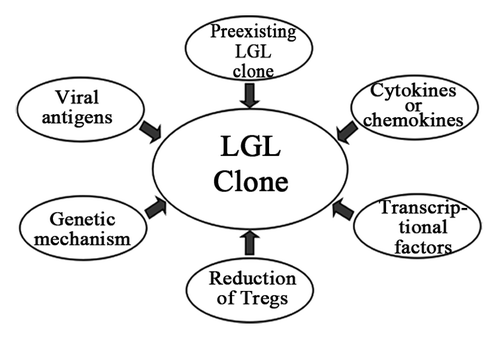 Figure 1. The pathogenesis of LGL lymphocytosis during dasatinib therapy.