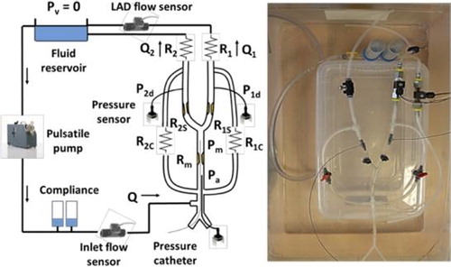 Figure 2. In vitro experiment. Diagram of the experimental bench and in vitro experimental device.