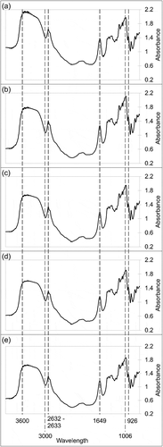Figure 2. The Fourier Transform Infrared spectra for (a) native sago starch, (b) microwave heated sago starch (5 min treatment) (MHT1), (c) microwave heated sago starch (10 min treatment) (MHT2), (d) microwave heated sago starch (15 min treatment) (MHT3), and (e) microwave heated sago starch (20 min treatment) (MHT4).Figura 2. Espectros infrarrojos por transformada de Fourier para (a) almidón de sagú nativo, (b) almidón de sagú calentado por microondas (tratamiento de 5 minutos) (MHT1), (c) almidón de sagú calentado por microondas (tratamiento de 10 minutos) (MHT2), (d) almidón de sagú calentado por microondas (tratamiento de 15 minutos) (MHT3), y (e) almidón de sagú calentado por microondas (tratamiento de 20 minutos) (MHT4)