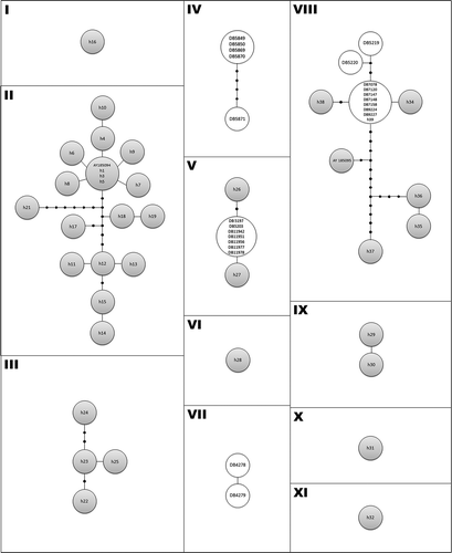 Figure 4. Statistical parsimony haplotype network depicting the genealogical relationships between native and non-native P. sicula haplotypes. See Table I and Figure 2 for details on sampling localities and haplotypes codes. Circle size is proportional to the number of samples with the same haplotype. Black circles represent missing haplotypes. The eleven networks include samples from: (I) Campania - Campestris Sicula clade; (II) Po Plain + Campania + Adriatic – Campestris-Sicula clade; (III) Suzac (Croatia) - Suzac clade (IV); Lisbon (non-native); (V) Cantabria (non-native) + Tuscany - Tuscany clade; (VI) Calabria - Monasterace clade; (VII) La Rioja (non-native) (VIII) Almería (non-native) + Menorca (non-native) + Sardinia + Sicily + Calabria - Sicula clade; (IX) Drubovnik (Croatia) - Catanzaro clade; (X) Calabria - Catanzaro clade; and (XI) Calabria - Catanzaro clade.