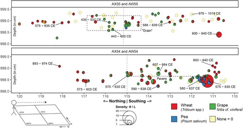 Figure 5. The vertical location of each bulk flotation sample, where the y-axis represents depth (in cm), and the x-axis represents northing and southing values (in m). The figure in the bottom-left indicates the direction of view across excavation units. Point sizes are proportional to the combined density of wheat, pea, and grape remains. Points are colored according to the relative percentage of each taxon they contain. The none category indicates none of the three remains was present. All radiocarbon dates are calibrated to 1σ.