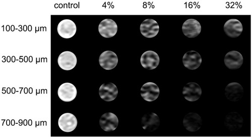 Figure 10 T2-weighted MR images of in vitro gel phantom from left to right column: BMs with the concentration of 32% (v/v) (as controls) and FNMs with concentrations of 4%, 8%, 16%, and 32% (v/v).Abbreviations: MR, magnetic resonance; BMs, blank polymer microspheres; FNMs, magnetic polymer microspheres.