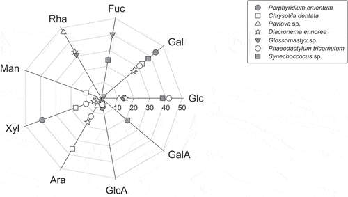 Figure 1. Monosaccharide compositions of EPS from P. cruentum, C. dentata, Pavlova sp., D. ennorea, Glossomastix sp., P. tricornutum and Synechococcus sp., as determined by GC/MS analysis by Gaignard et al. (2019) [Citation23]: Man: mannose; Rha: rhamnose; Fuc: fucose; Gal: galactose; Glc: glucose; GalA: galacturonic acid; GlcA: glucuronic acid; Ara: arabinose; Xyl: xylose.