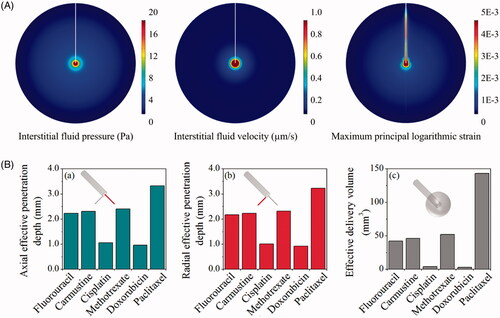 Figure 3. Delivery in isotropic tissue. (A) Biomechanics in brain with isotropic properties. (B) Delivery outcomes of different drugs. Penetration depth in (a) axial and (b) radial direction, and (c) distribution volume.