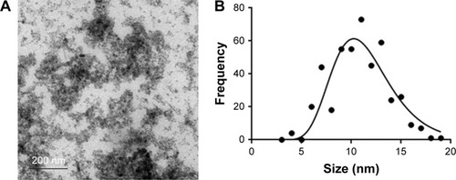 Figure 1 (A) TEM micrograph (scale bar: 200 nm) and (B) histogram of MNP size distribution.Abbreviations: TEM, transmission electron microscopy; MNP, magnetic nanoparticle.