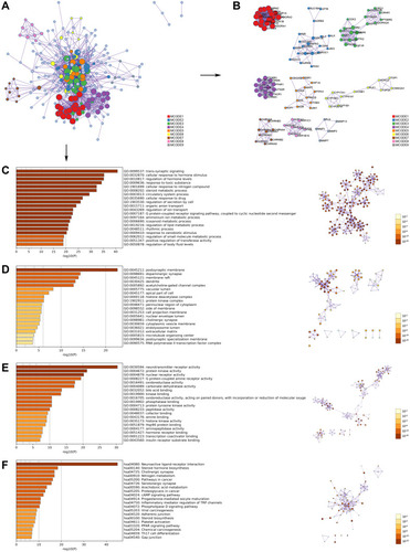 Figure 2 GO and KEGG pathway enrichment analyses of the CSMFCH component-target network (p-value ≤ 0.05). (A) The PPI network. (B) The clusters of PPI network. The colors indicate diverse clusters or binding site sets that are predicted by the MCODE algorithm. (C) The top 20 biological processes. (D) The top 20 cellular components. (E) The top 20 molecular functions. (F) The top 20 KEGG pathways. The bar plot and different colors show the enrichment scores [-log10 (P-value)] of the top 20 significant enrichments.