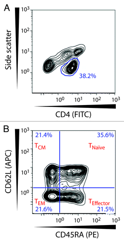 Figure 4. Gating strategy for naive and memory CD4+ T lymphocytes. The CD4+ T cell population was selected in a side scatter vs. CD4-FITC dot plot. Within this subset CD4+ T cells were divided based on their expression of CD62L and CD45RA and were identified as naïve T cells (TNaïve; CD62L+CD45RA+), effector T cells (TEffector; CD62L-CD45RA+), central memory T cells (TCM; CD62L+CD45RA-), and effector memory T cells (TEM; CD62L-CD45-).
