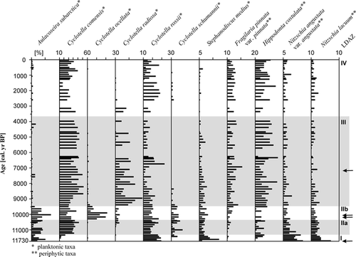 FIGURE 3. Distribution of selected diatom taxa in the sediment core PG1111, Lake Lama. The species chosen fit at least 35% into the major plane of species space. Note that the percentage scale for each taxon is different for the sake of better visibility. The roman numerals are the local diatom assemblage zones (LDAZ) as estimated by constrained cluster analysis. The arrows indicate those samples with a lower number of valves counted