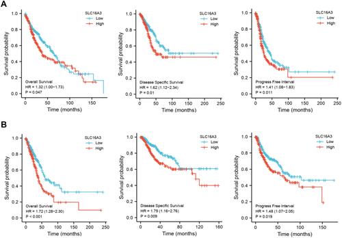 Figure 2 High SLC16A3 level is correlated with poor prognosis in lung cancers. Overall survival, disease specific survival and progression free survival of SLC16A3 in LUAD (A) and LUSC (B).