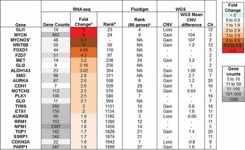 Figure 4. Gene expression of cancer-specific genes. Gene expression of a panel of cancer-specific genes was assayed by high throughput qRT-PCR and analysed relative to expression in two samples of normal brain. The relative gene expression was then ranked from 1 (highest expression) to 96. Gene expression was also assayed by whole transcriptome RNA sequencing. The average log2 fold change in expression in the sample was determined relative to 8 other pediatric glioma samples. The table lists highly expressed genes that may be contributing to disease progression.