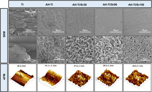 Figure 1 Top view SEM images and AFM 3D images of different samples.