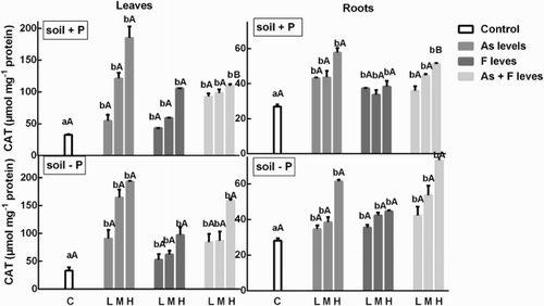 Figure 2. Determination of CAT activity on soybean roots and leaves’ treatment with low, medium and high As and/or F concentration with both P conditions. Experiments were carried out as described in the ‘Materials and methods’ section. Data are mean values of three independent experiments ± S.E. Each value represents three replicates. Different lowercase letters within columns indicate significant differences with respect to controls (p < 0.05). Different capital letters within rows indicate significant differences between roots or leaves in Soil P+ and Soil P−(p < 0.05), according to the Tukey’s multiple range test.