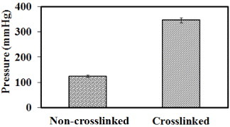 Figure 7. Burst strength of non-cross-linked and cross-linked PCL–gelatin/PLGA–gelatin/PLGA–chitosan scaffolds.