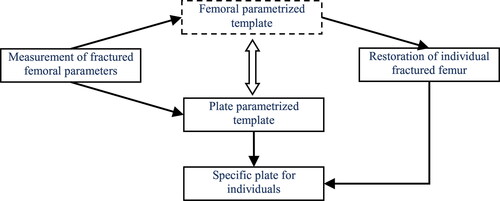 Figure 1. Framework of the integrated computer-aided approach for parametric investigation of anatomic plate design.