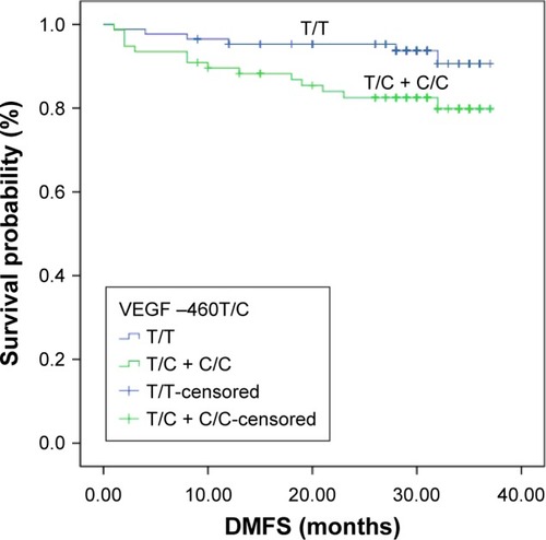 Figure 6 DMFS for (T/C + C/C) genotype carriers and T/T genotype carriers.