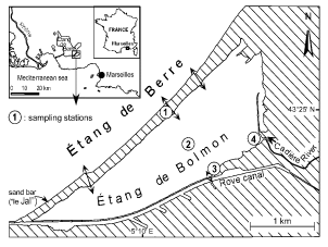 Fig. 1. Location of the Étang de Bolmon and sampling stations.