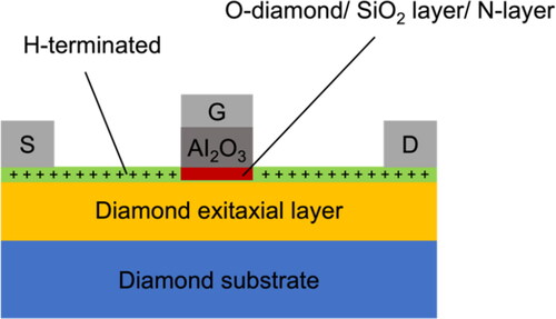 Figure 2. Schematic cross-section of the H-diamond MOSFETs to achieve normally off properties by partially inserting a C-O channel [Citation29], a SiO2 layer [Citation30], or a N-doped layer [Citation31].