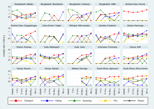 Fig. 3 Site-specific mortality rates per 1,000 person-years by age group and category of unintentional external causes of death.