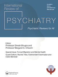 Cover image for International Review of Psychiatry, Volume 34, Issue 6, 2022