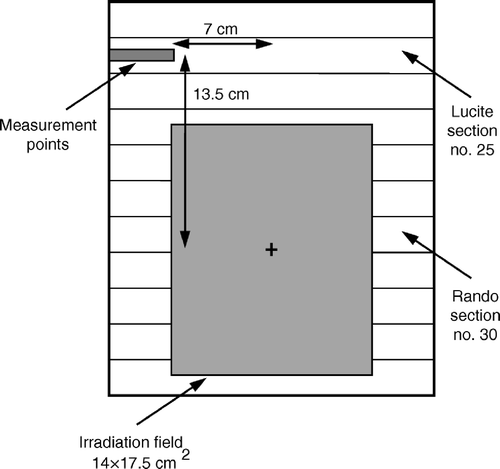 Figure 1.  Schematic diagram showing the measurement geometry. The Lucite section was drilled at the right side to allow the placement of an ionization chamber at points corresponding to ovarian positions.
