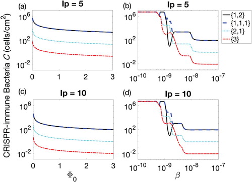 Figure 4. Populations of CRISPR bacteria (C) against biofilm formation rate Φ0 (subplots (a) and (c)) and adsorption rate β (subplots (b) and (d)) for 90-h therapeutic procedure. Four possible combinations of prophages are presented in each subplot, namely lysogen with one prophage followed by two simultaneously, denoted by {1,2} (solid line), three prophages each introduced separately, denoted {1,1,1} (dashed line), two prophages simultaneously followed by one separately, {2,1} (dotted line), and all prophages simultaneously, {3} (dash-dotted line).