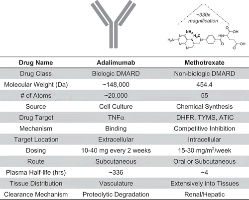 Figure 3. Comparison of biologic and non-biologic DMARDs. The chemical, physical, pharmacokinetic, and pharmacodynamic properties of the biologic DMARD adalimumab and the non-biologic DMARD methotrexate are presented [Citation12,Citation13].