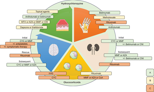 Figure 1. An illustrative figure of drugs commonly used in patients with systemic lupus erythematosus (SLE) with different organ manifestations including lupus nephritis (kidneys), neuropsychiatric SLE (brain), cutaneous SLE (skin), lupus arthritis (hand), and immune-mediated cytopenia (immune cells). HCQ is recommended in all patients unless contraindicated. Glucocorticoids are commonly used to control disease activity, but daily dose should be reduced to <5 mg/day prednisone equivalent within 3–6 months. Further choice of immunosuppressants should be made based on disease severity and prevailing manifestation(s). Colours represent the grade of recommendation according to 2023 EULAR recommendation of the management of SLE [Citation9], as classified by the oxford center for evidence-based medicine [Citation9] (green, level of evidence A; yellow, level of evidence B; orange, level of evidence C). HCQ: hydroxychloroquine; CYC: cyclophosphamide; MMF: mycophenolate mofetil; MTX: methotrexate; AZA: azathioprine, CNI: calcineurin inhibitor; IVIG: intravenous immunoglobulin.